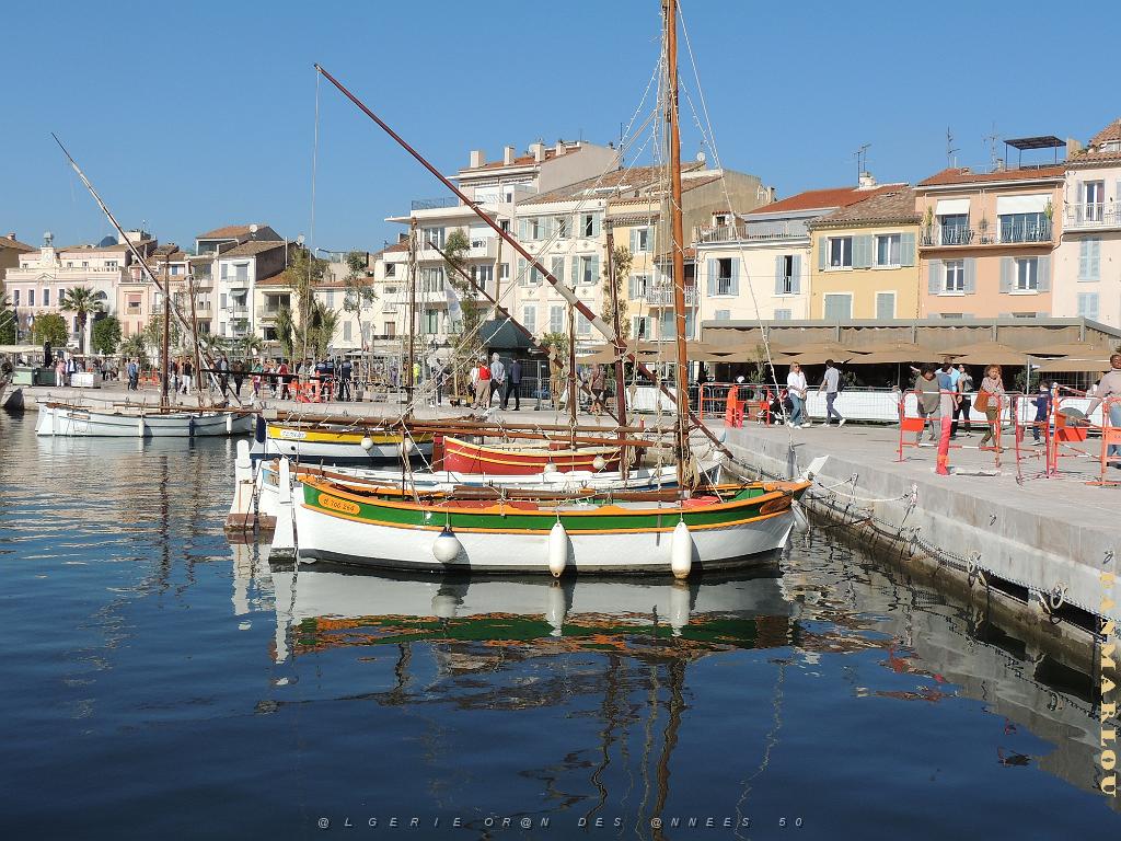 2024 11 02 EN FLANANT SUR SANARY (46).jpg
